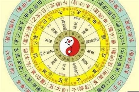 四柱|四柱八字排盘